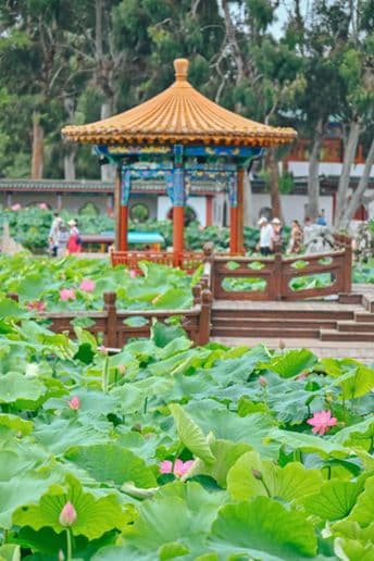 Côn Minh – Hà Khẩu - Lào Cai